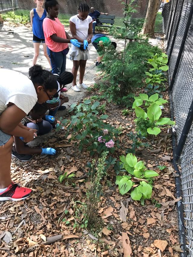 Kids working in the community garden